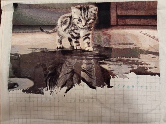 Этап процесса «Тигрёнок»