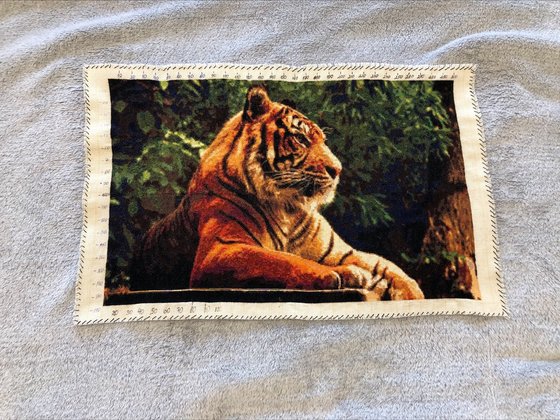 Этап процесса «Amur tiger»