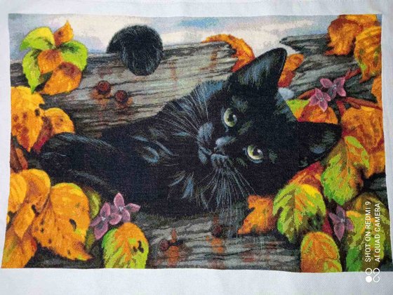 Этап процесса «HAED Дырка в заборе»