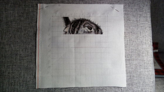 Этап процесса «Кеша»