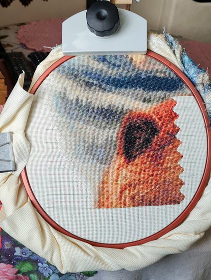 Этап процесса «☀️ЧЕРТОГ МЕДВЕДЯ☀️»