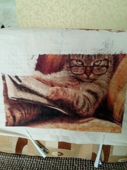 Этап процесса «Кот ученый»