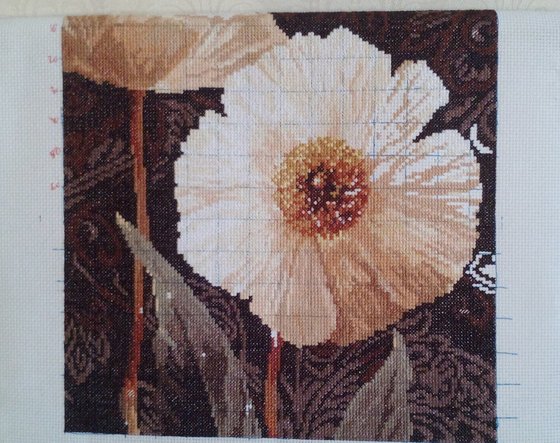 Этап процесса «Белые цветы. Открытый свету.»