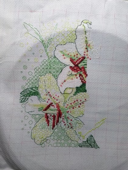 Этап процесса «Белые лилии.»