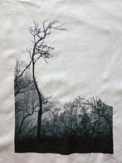 Этап процесса «Лицо девушки в ветвях»