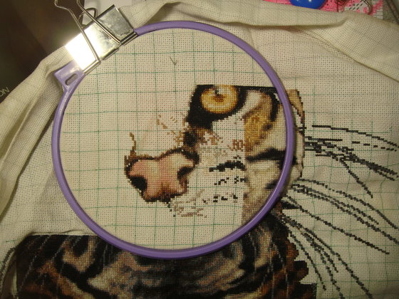 Этап процесса «Оцелот»