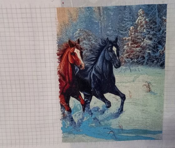 Этап процесса «Кони»