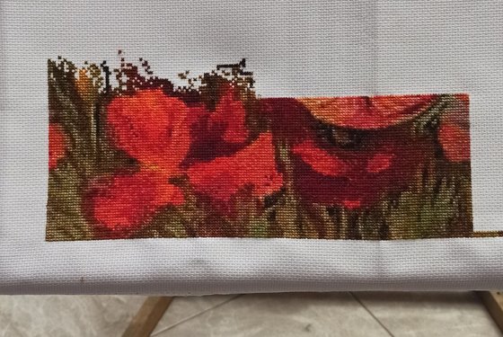 Этап процесса «Красные маки Иссык-Куля»