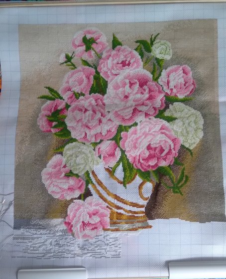 Этап процесса «Пионы Мадам Ренью.»