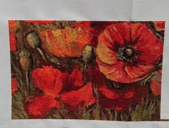 Этап процесса «Красные маки Иссык-Куля»