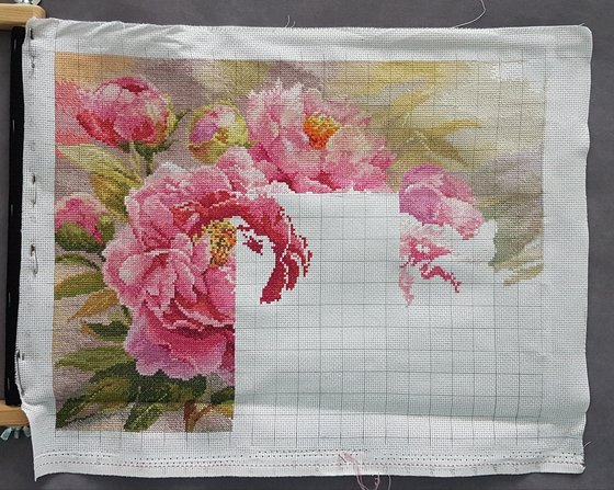 Этап процесса «Пионы»