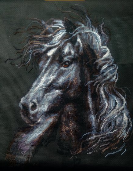 Этап процесса «Ветер в гриве. Риолис.»