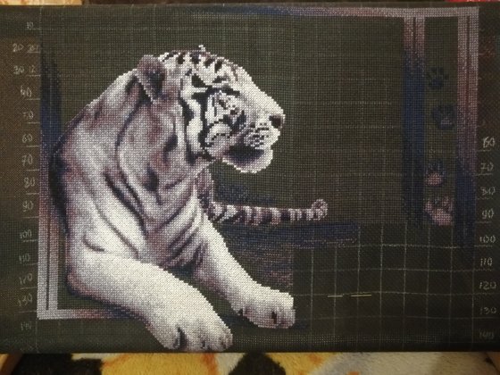 Этап процесса «Белый тигр»