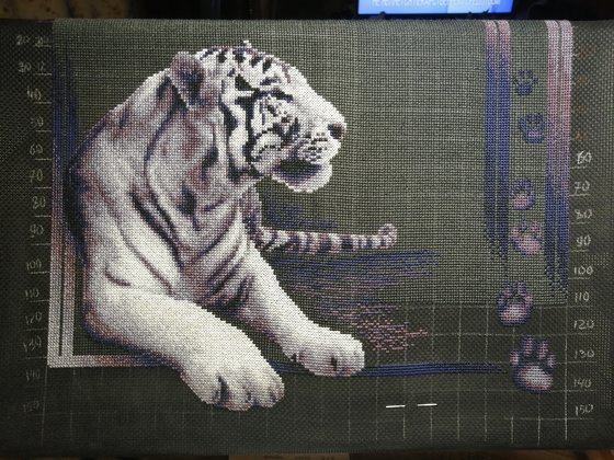 Этап процесса «Белый тигр»