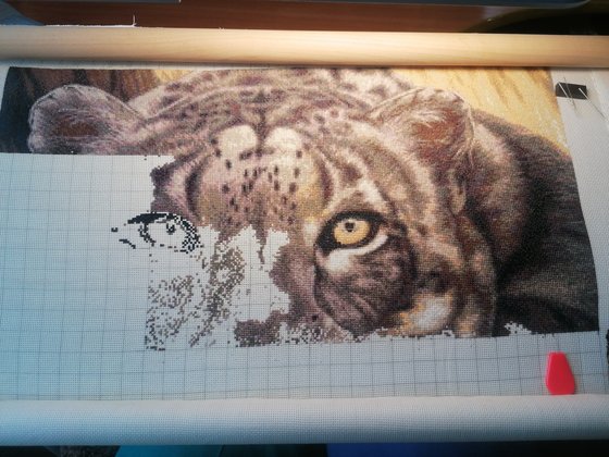 Этап процесса «Снежный леопард, автор martino3»