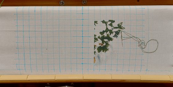 Этап процесса «Павлины»