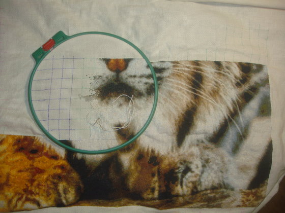 Этап процесса «Рысь»