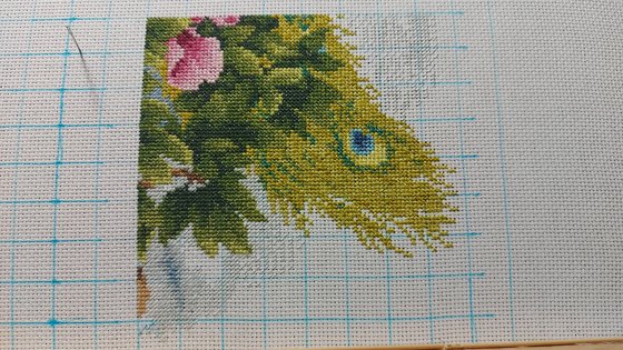 Этап процесса «Павлины»