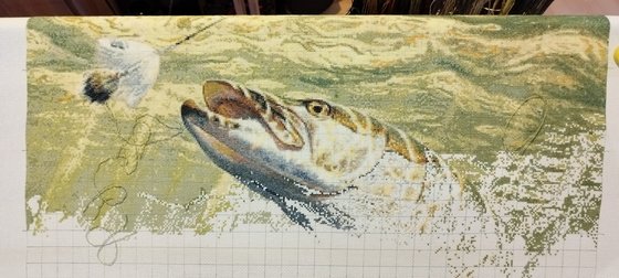 Этап процесса «Щука по схеме Пышнограевой»