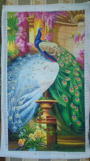 Этап процесса «Павлины»