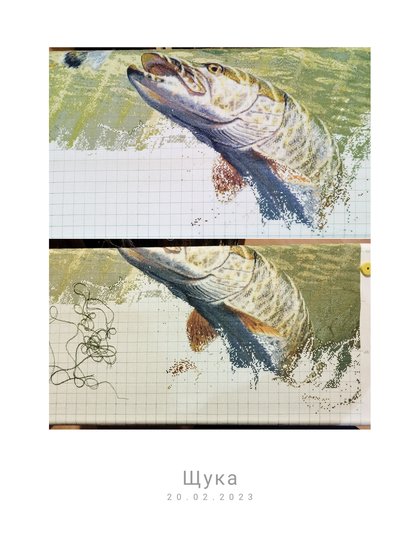 Этап процесса «Щука по схеме Пышнограевой»