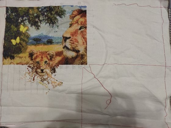 Этап процесса «Семья львов»