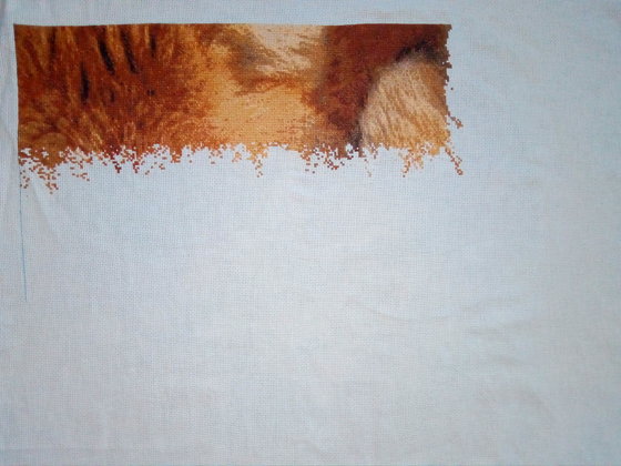 Этап процесса «Мохнатый поцелуй»