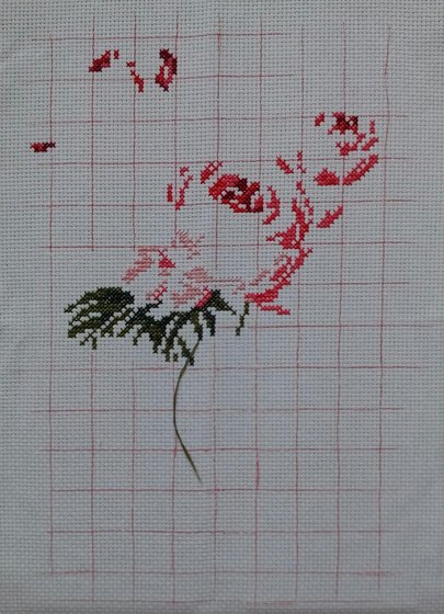 Этап процесса «Роза и бабочка»