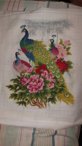 Этап процесса «Павлины»