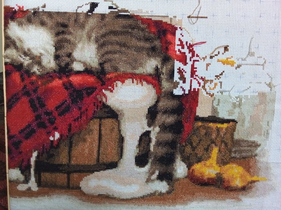 Этап процесса «Кот на кухне»