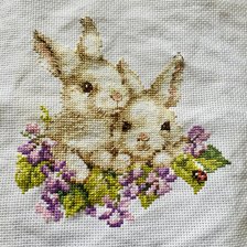 Процесс «Крольчата от Алисы»