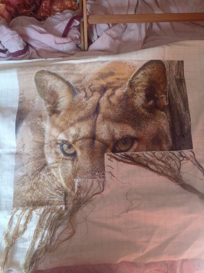 Этап процесса «Пума»