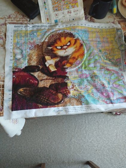 Этап процесса «Кот»