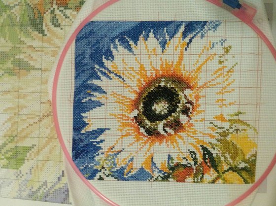 Этап процесса «Посланник Солнца»