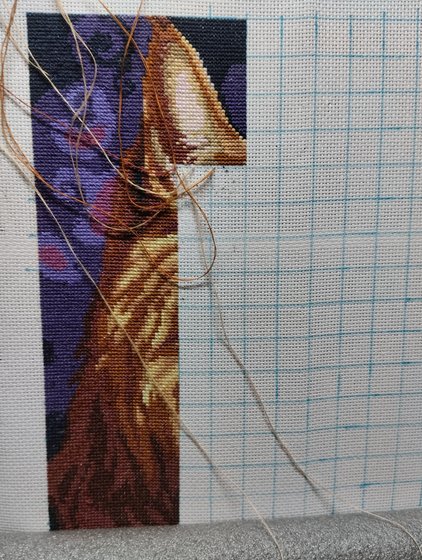 Этап процесса «Каракал»