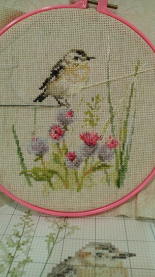 Этап процесса «Луговой чекан»