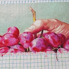 Процесс «Виноград»