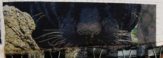 Этап процесса «Пантера»