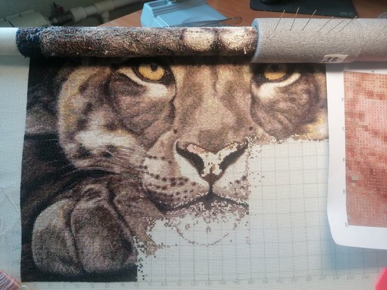 Этап процесса «Снежный леопард, автор martino3»