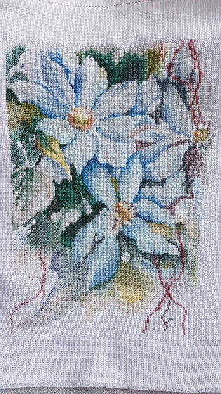 Этап процесса «Клематисы 2»