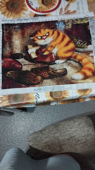 Этап процесса «Кот»