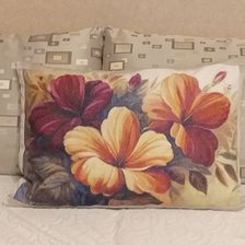 Процесс «Гибискус»