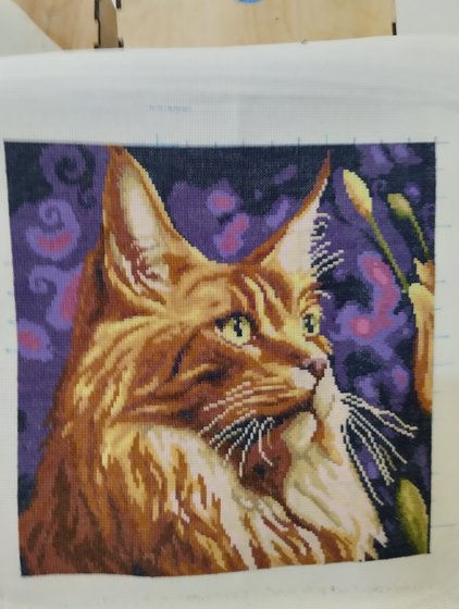 Этап процесса «Каракал»