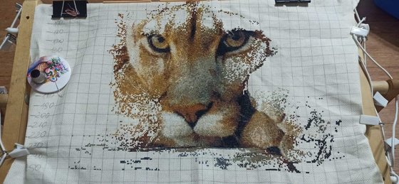 Этап процесса «Взгляд пумы»