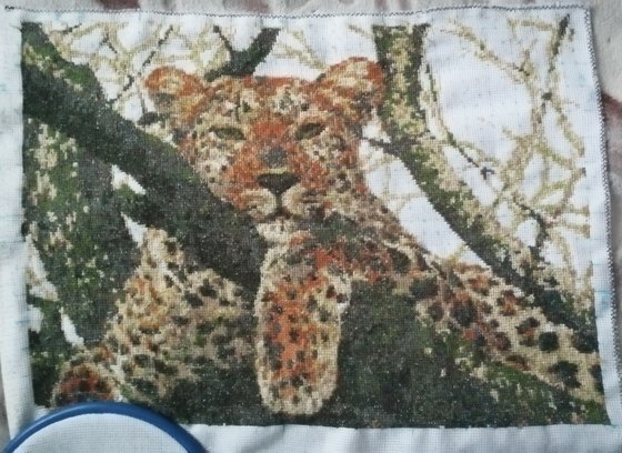 Этап процесса «Леопард на ветке»