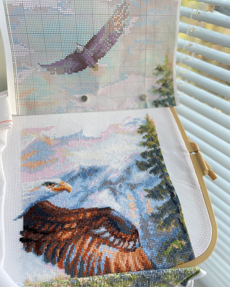 Этап процесса ««Свободный полёт» Риолис 1471»