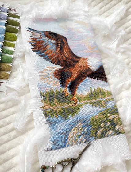 Этап процесса ««Свободный полёт» Риолис 1471»