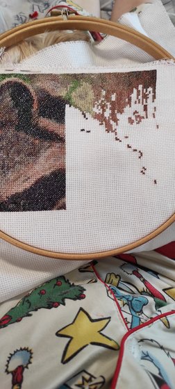 Этап процесса «Енот»