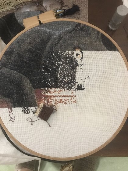 Этап процесса «Кот»