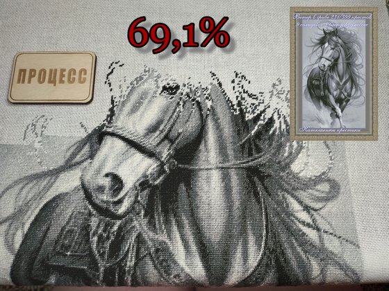 Этап процесса «Ветер в гриве.»